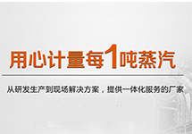 SISEN飽和蒸汽計量系統(tǒng)在蒸汽領(lǐng)域的應用